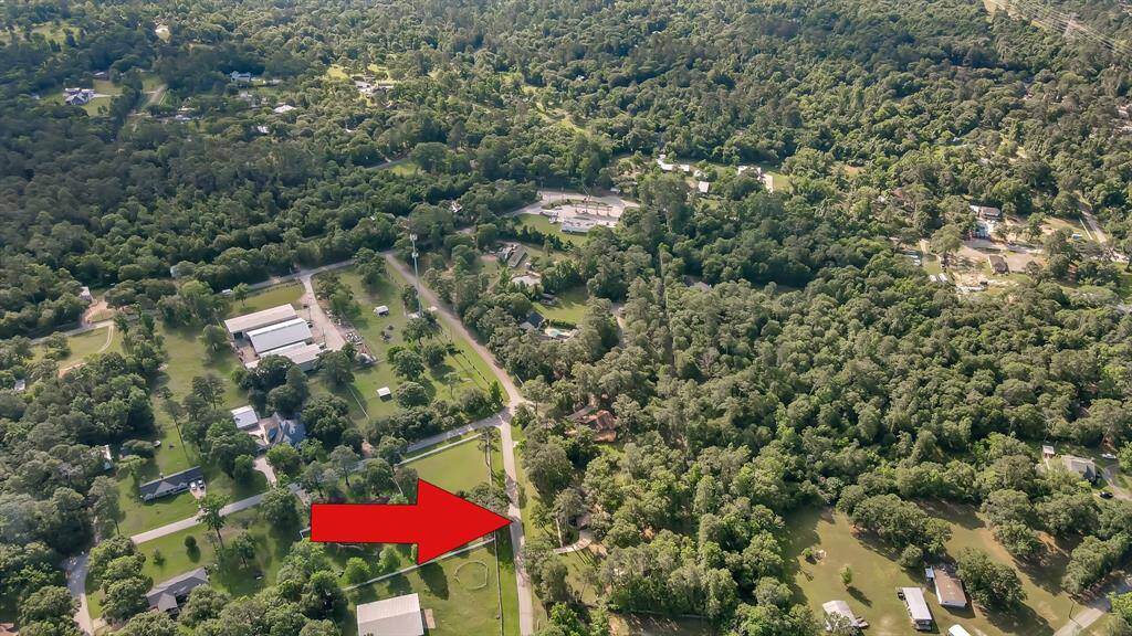 The house is tucked in a canopy of trees.