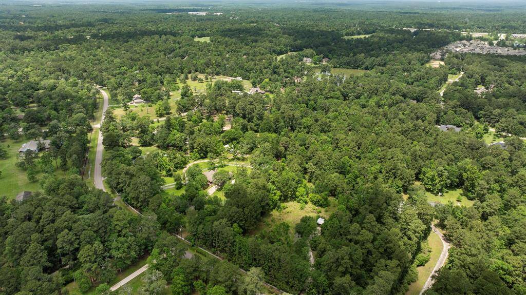 Birds Eye View of Woodlane Forest