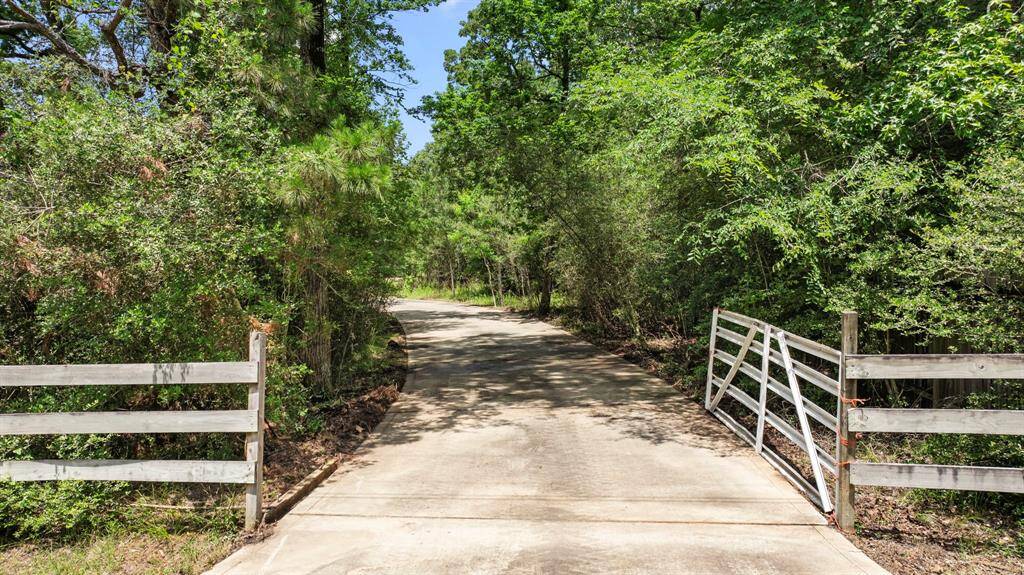 Established Winding Driveway