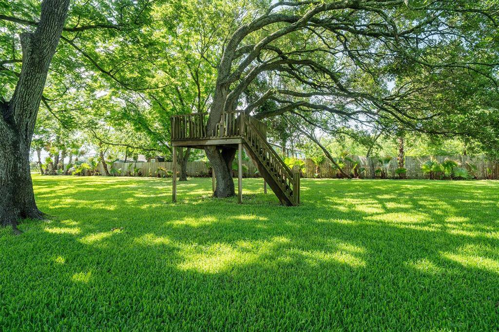 Treehouse- made for kids big and small!