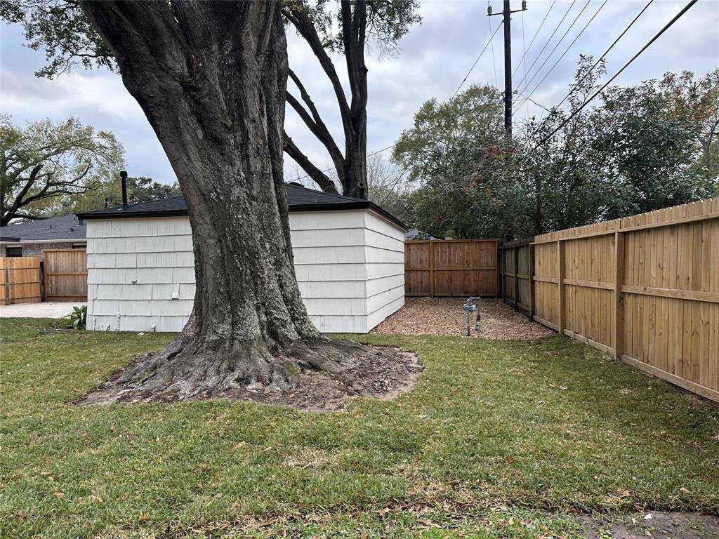 Fenced Backyard