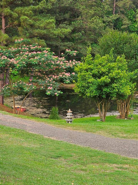 Recent view from porch.