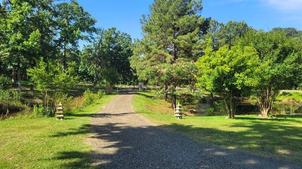 Main drive between two ponds