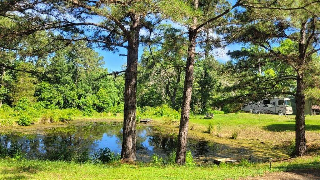 Pond by RV pad