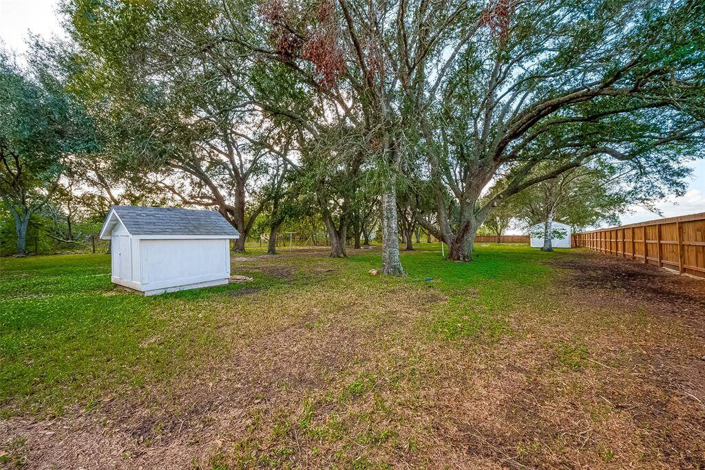 Beautiful treed yard