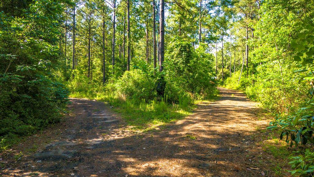 Private road access cleared and maintained to both cabin sites.