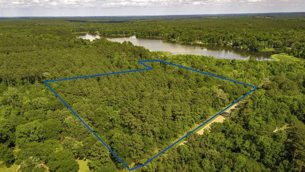 Wooded in managed southern loblolly pine trees and hardwoods.