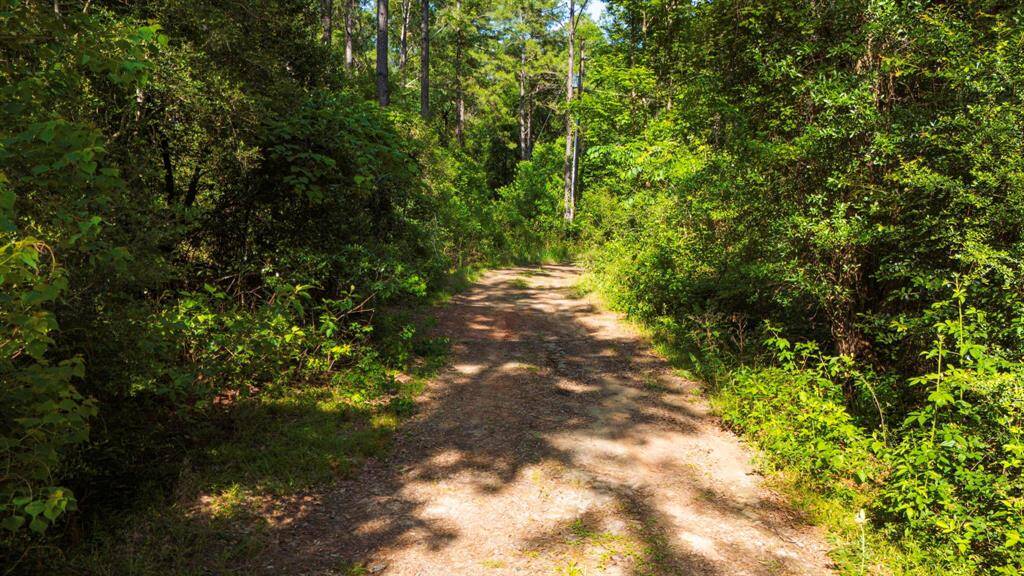 Private road access cleared and maintained to both cabin sites.