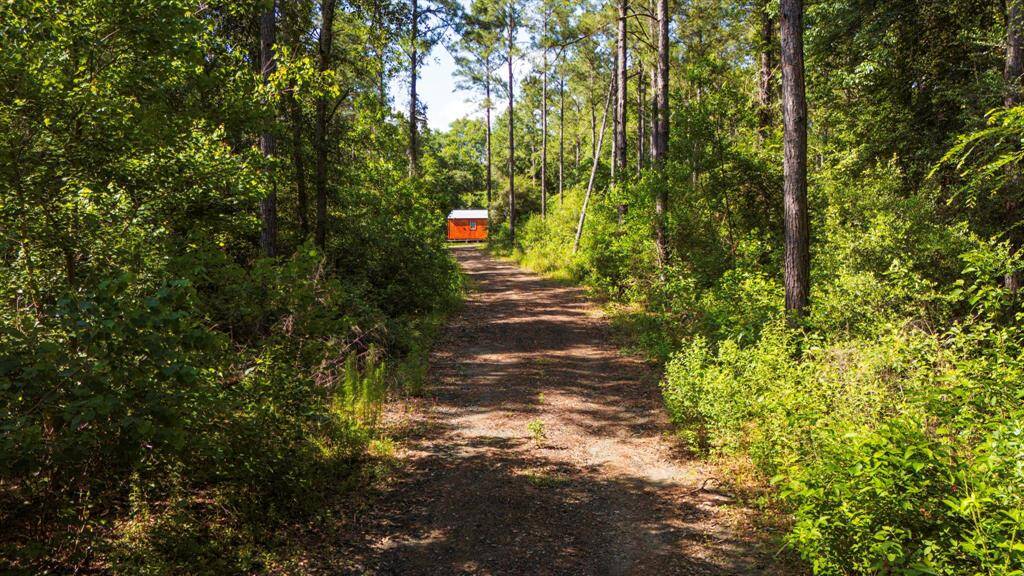 Private road access cleared and maintained to both cabin sites.
