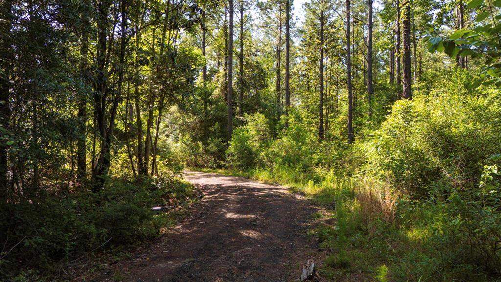 Private road access cleared and maintained to both cabin sites.