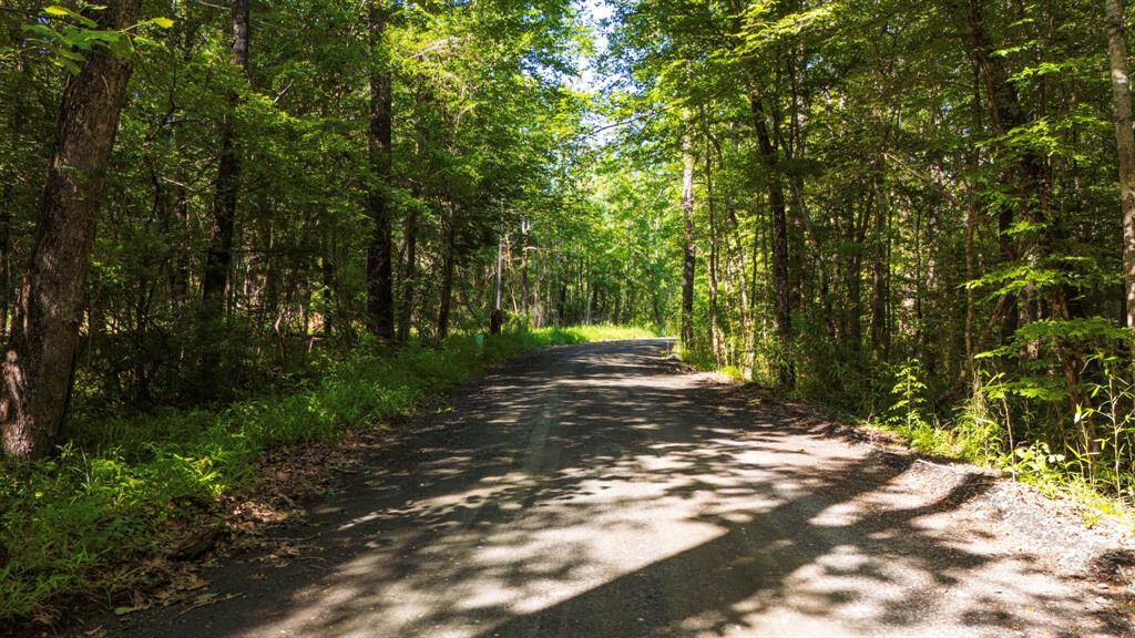 Access/Frontage: CR 3160, FM 3065.