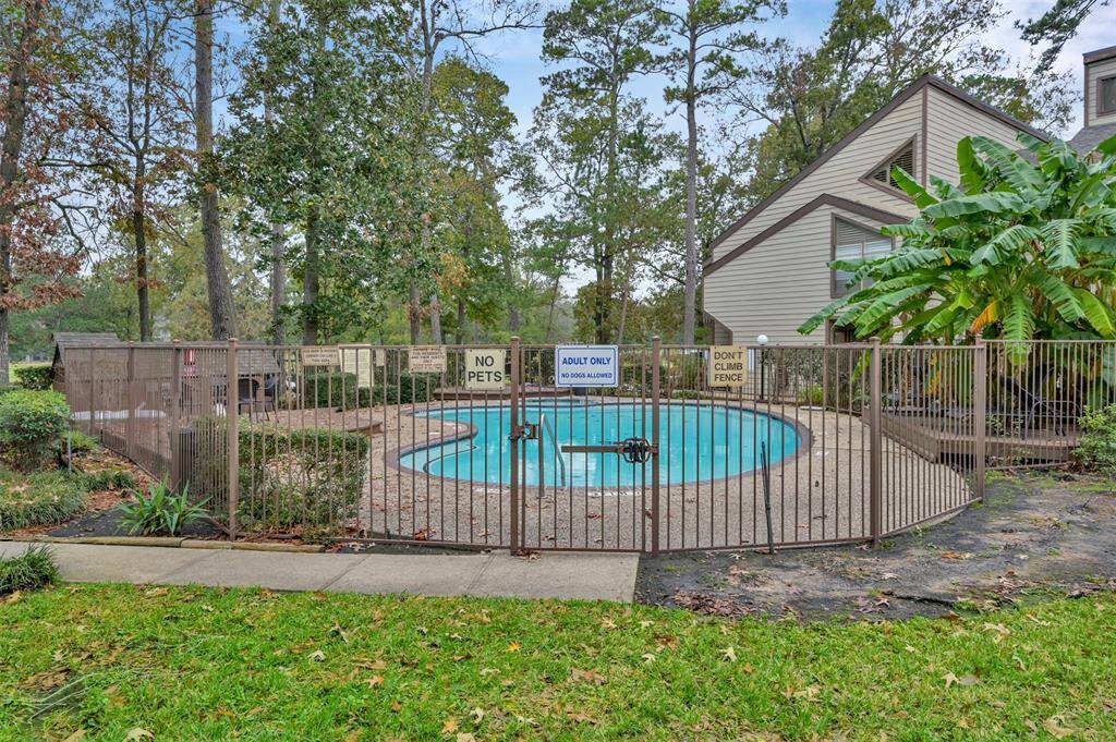Adult pool