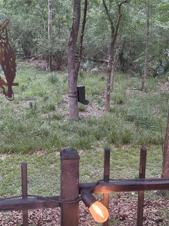 The seller has added a deer feeder to attract local wildlife, offering regular sightings of deer.