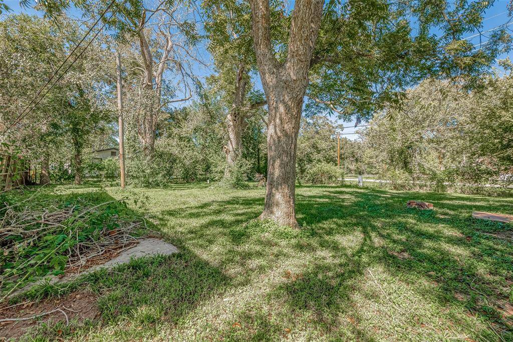 Property Image 46