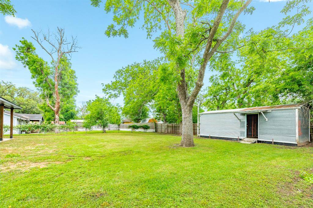 Spacious Backyard