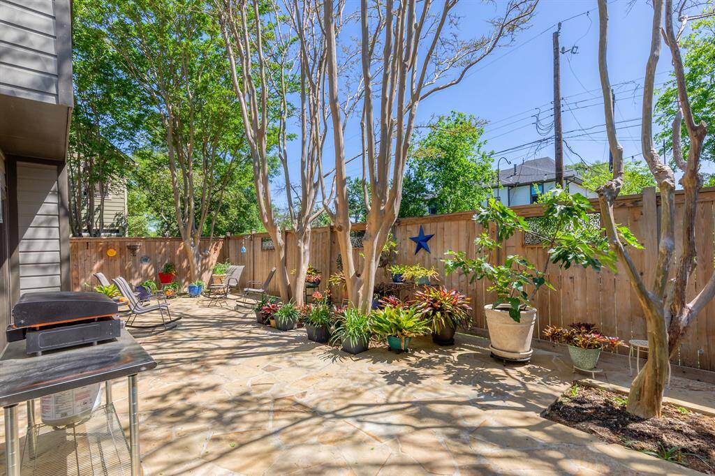 Back patio