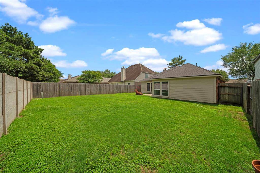 What would you do with this luscious backyard?