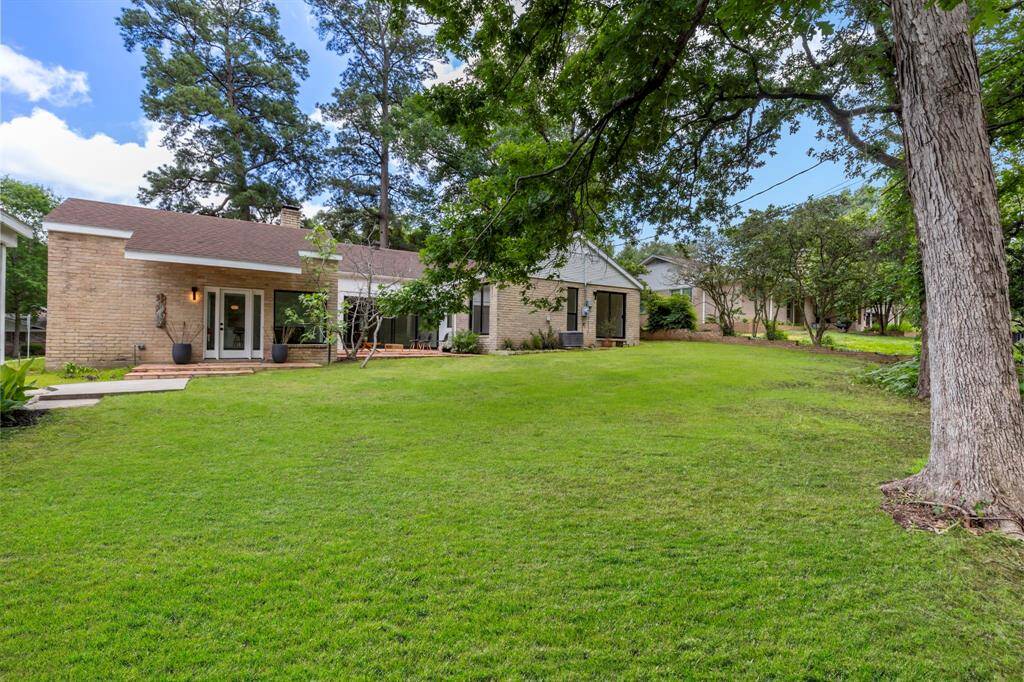 Spacious backyard with mature oak and fig trees.