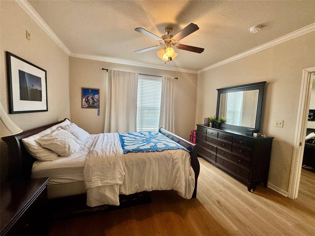 Lots of natural light.