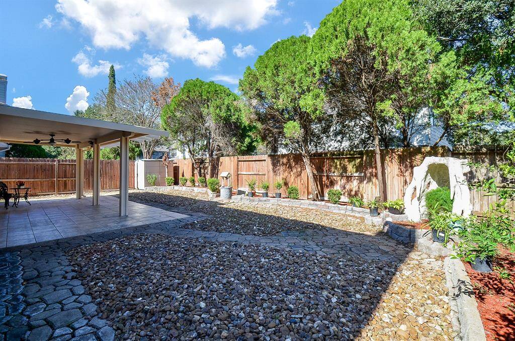 Very low maintenance backyard