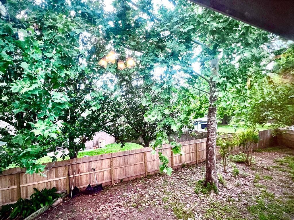 BackyardVromGuestroom