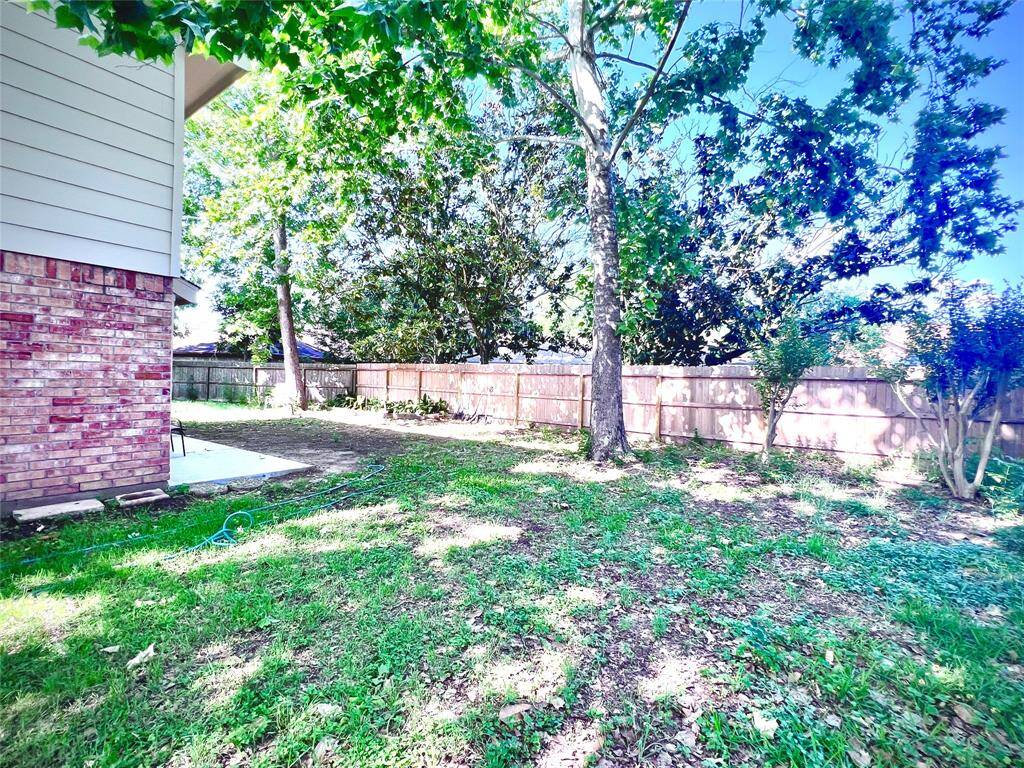 Backyardview