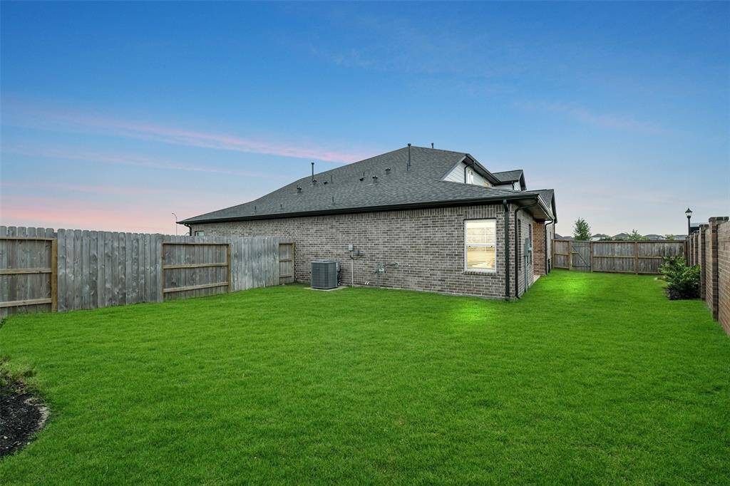 So much room in the backyard!