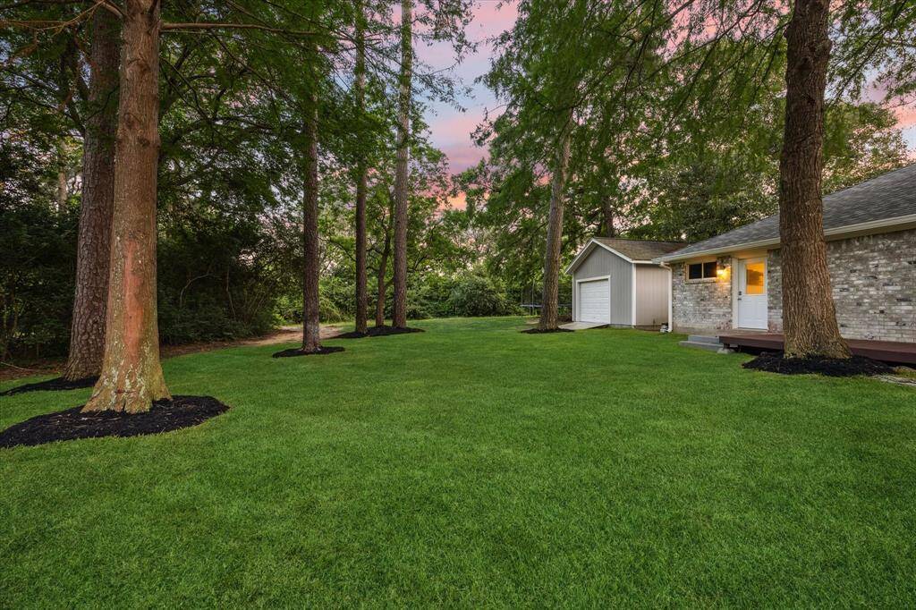 View of backyard.