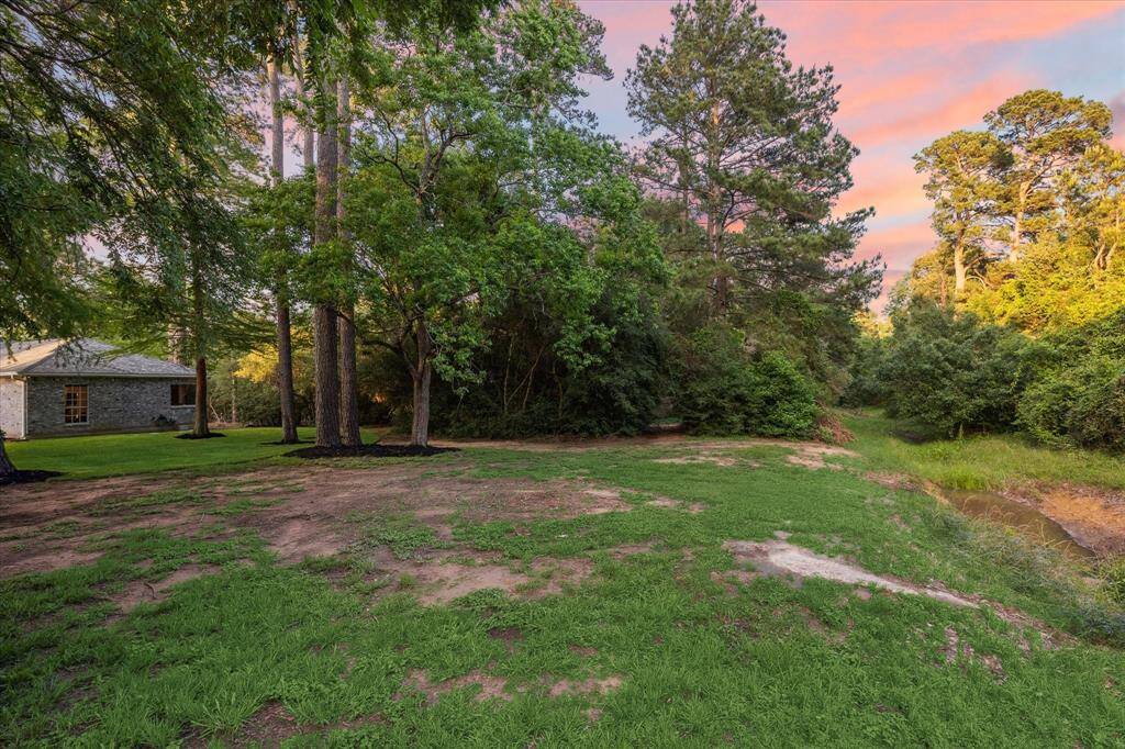 Huge backyard.