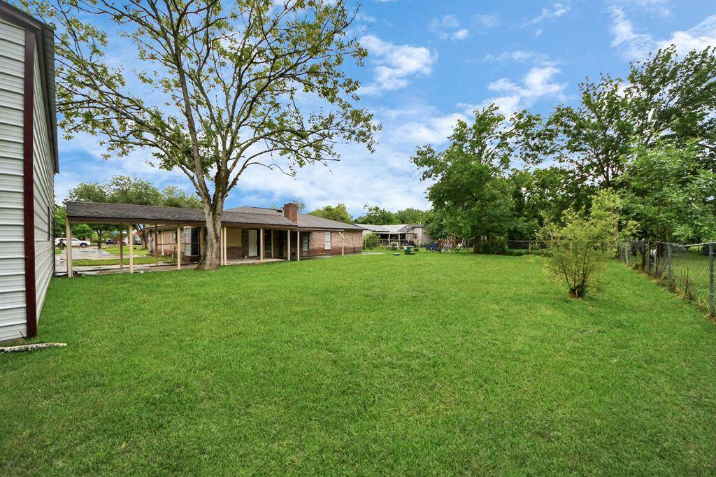 Backyard.