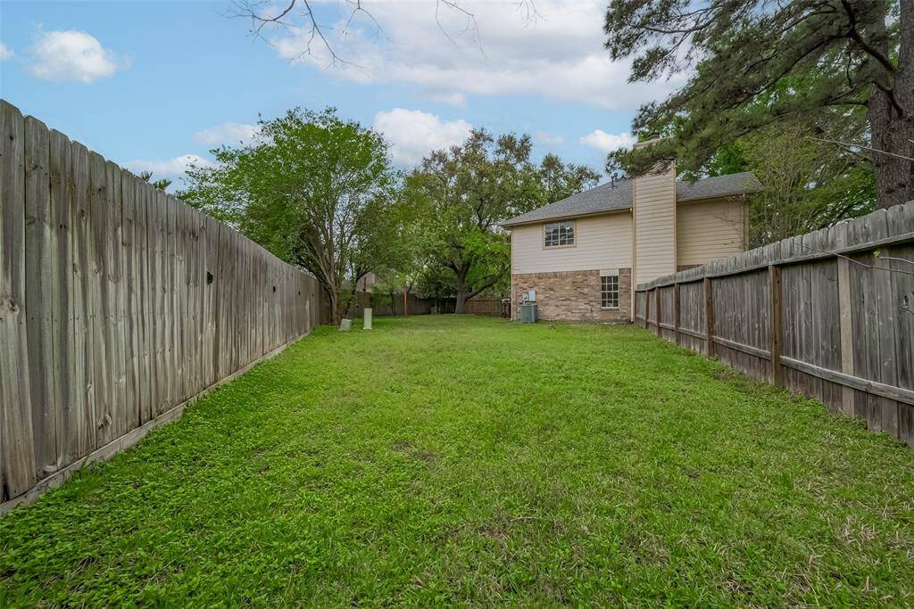 Huge, rare oversized lot!