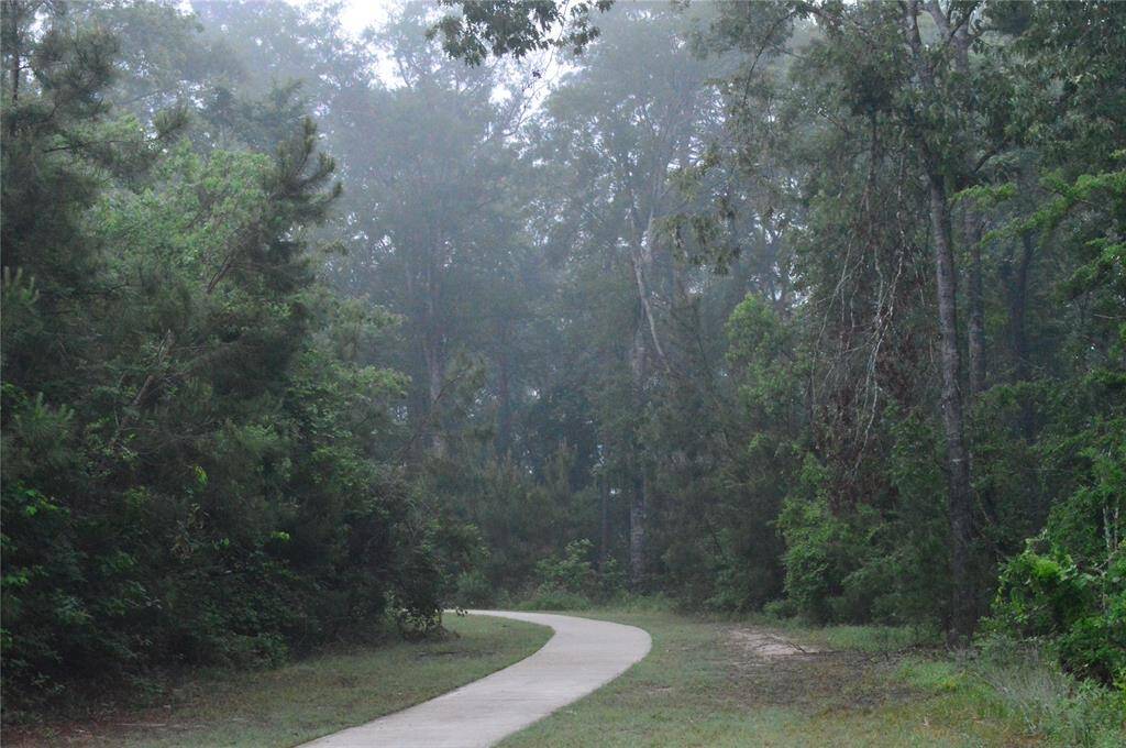 Experience serene morning views from this enchanting walking path near the home.