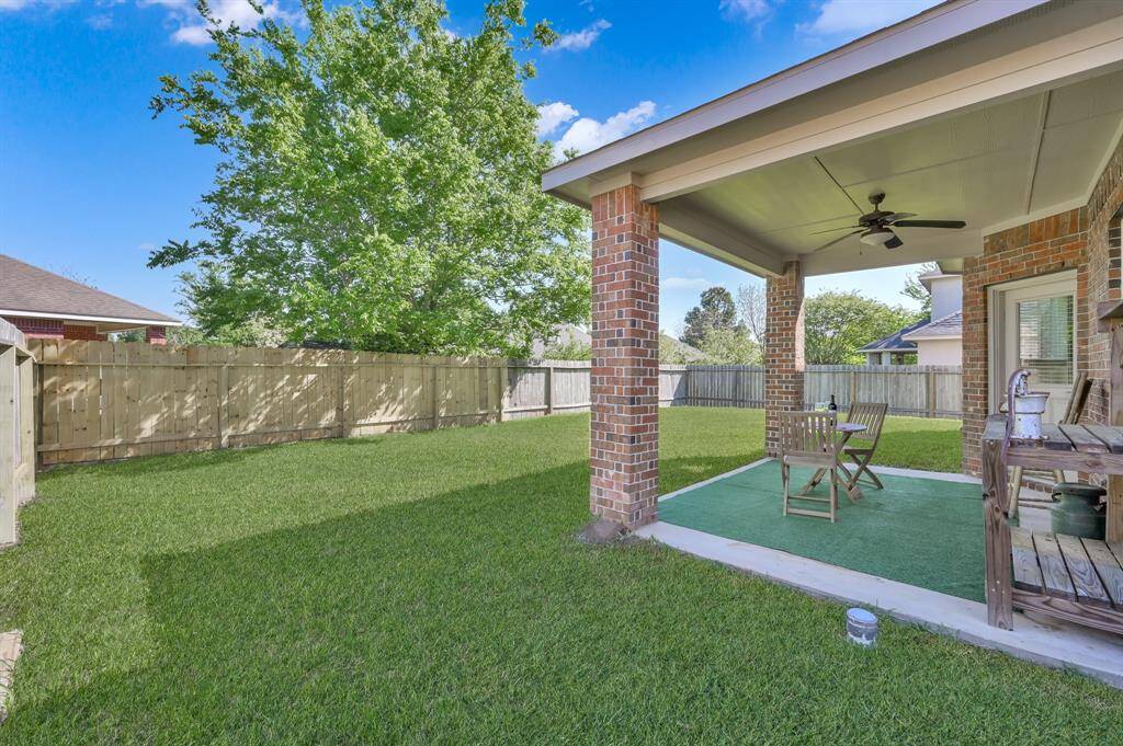 Covered back patio & private backyard
