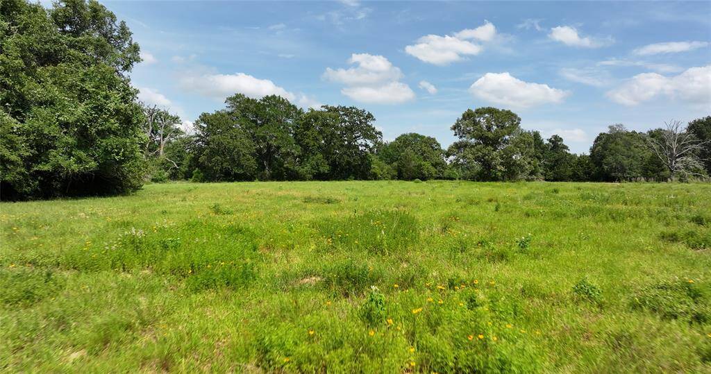 Topo shows the roll and the small piece of flood plain at the very edge of property.