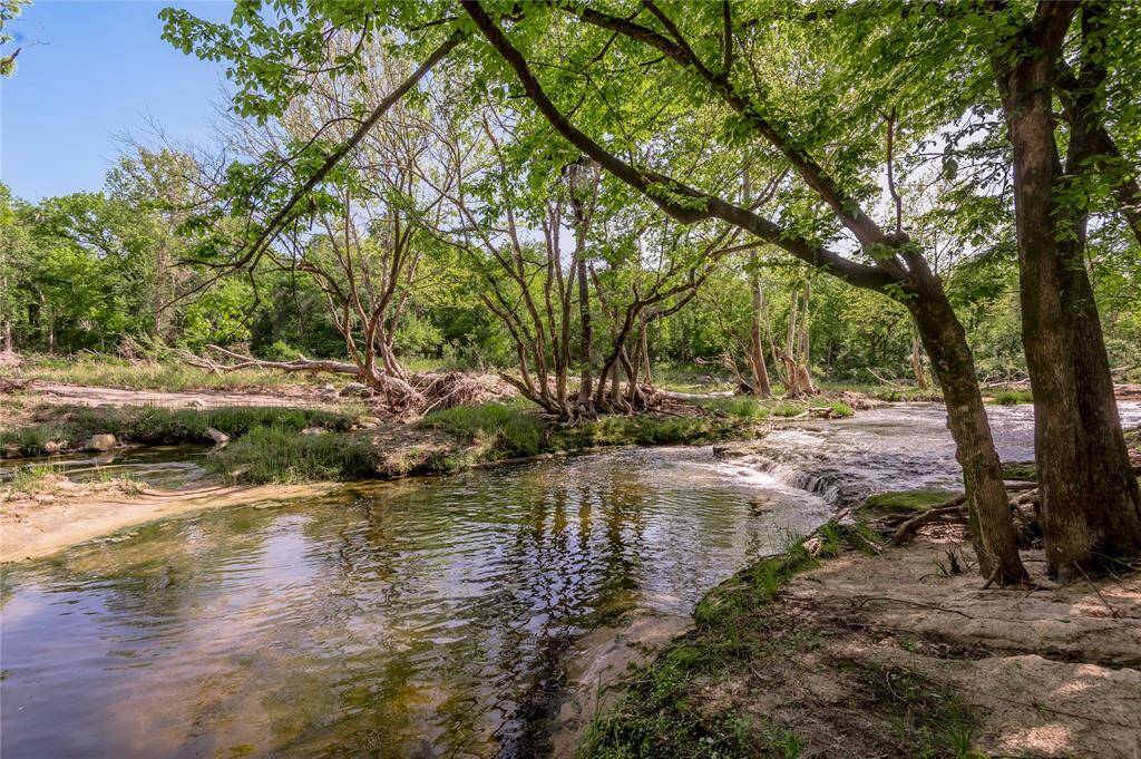 This picturesque area of Harmon Creek is a great day of hanging out on the creek bed, grilling burgers and having fun with friends and family.