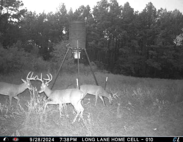 The property is covered with a Ag Exemption - wildlife exemption