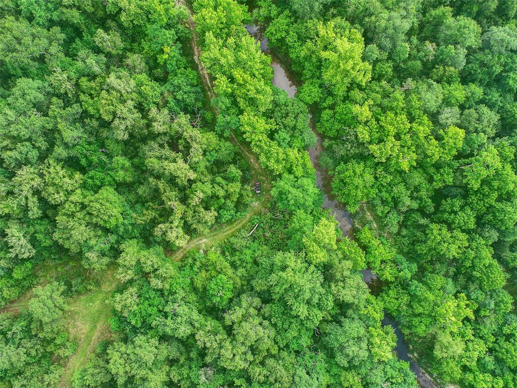 Harmon creek along the East side of the property.