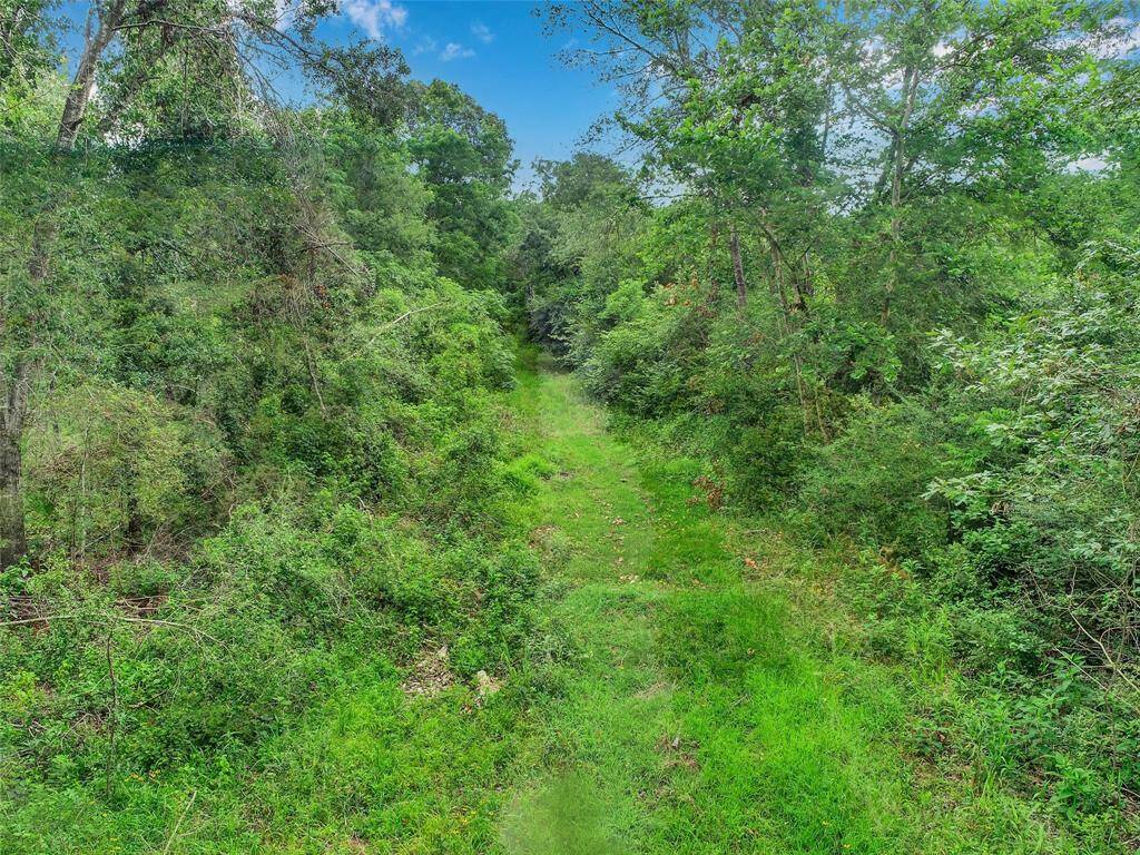 Trails around the property along majority of the fenceline and thru middle for access.