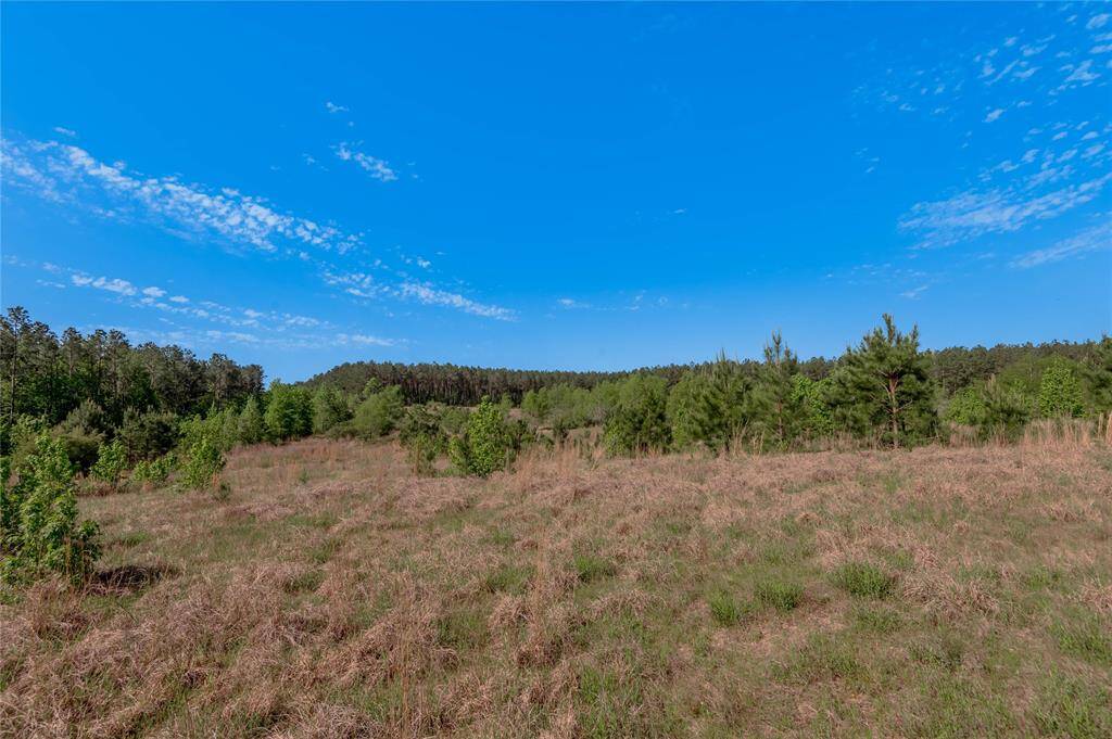 Multiple elevation changes throughout property. Predominantly sloping eastward towards the creek.