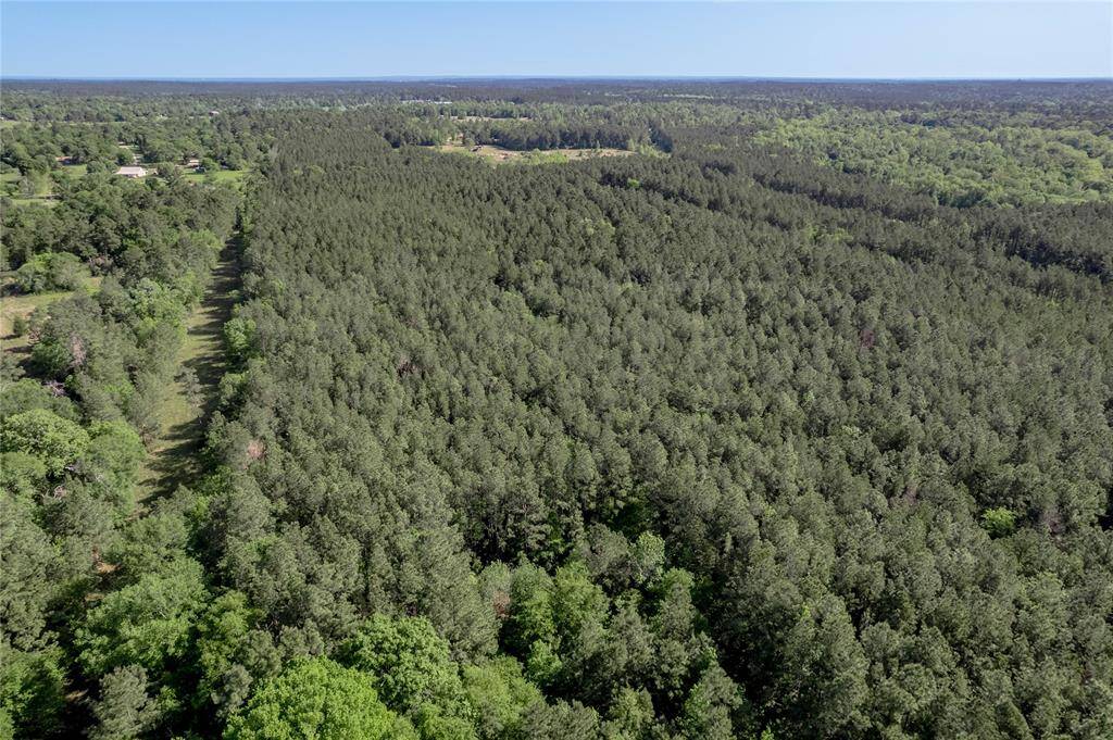 Cuts have been made thru property for ease of access and thinning to allow trees to mature.