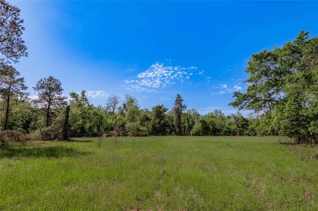 Beautiful meadows throughout make for great camping, hunting or home sites.