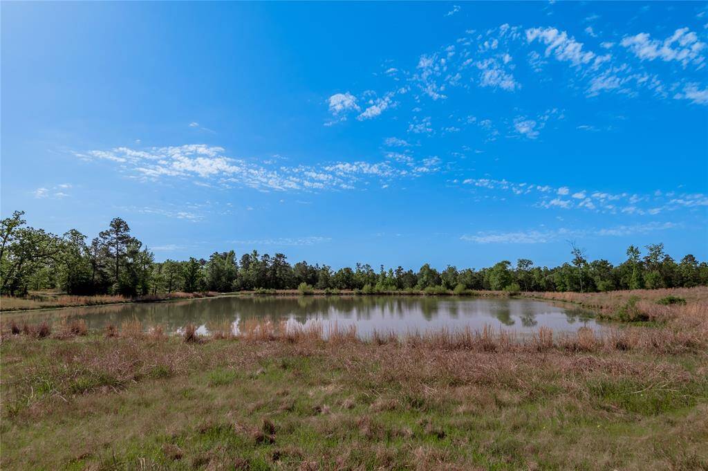 Front 2 acre stocked pond
