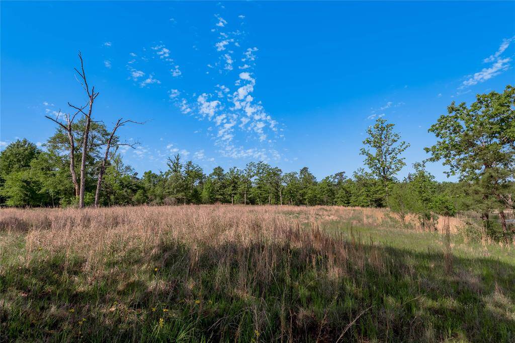 Northside of property with private easement access off Thomas Spur @ Lake Falls. Great area for a homesite.