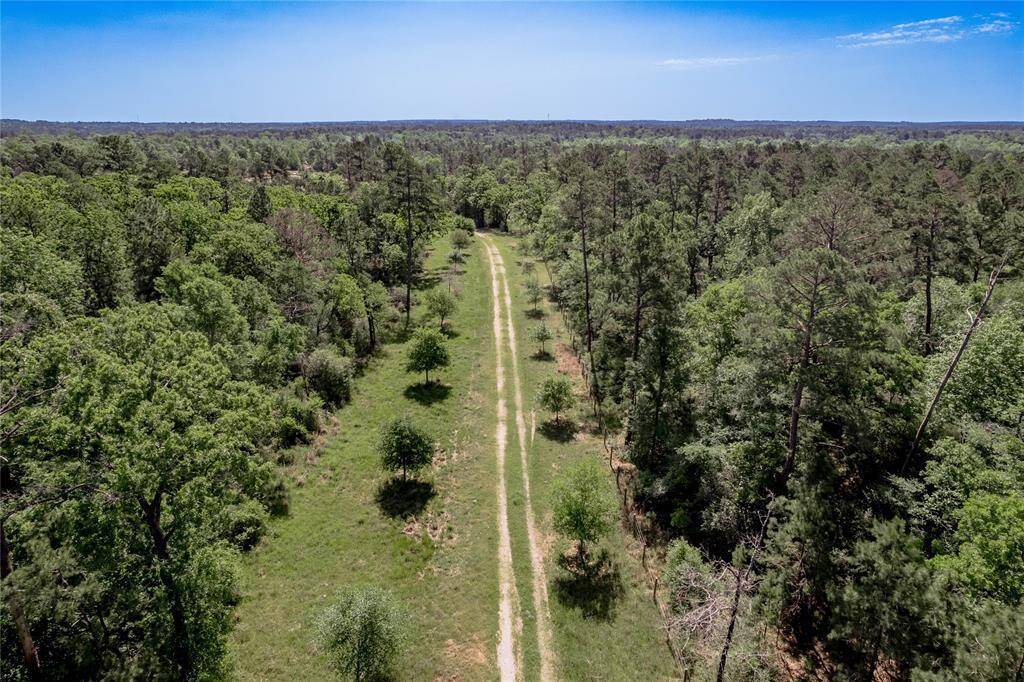 Entering the property along the Oak tree lined path. This is in the center on the west boarder of the property.
