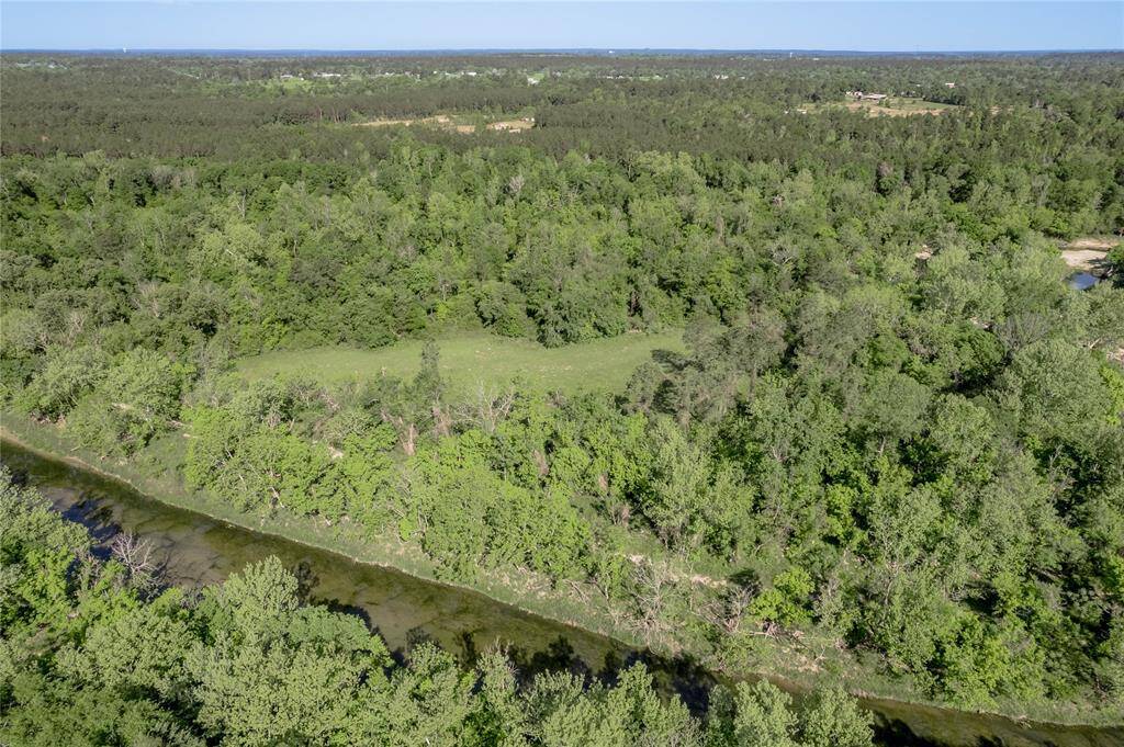 East of Harmon Creek looking towards the south