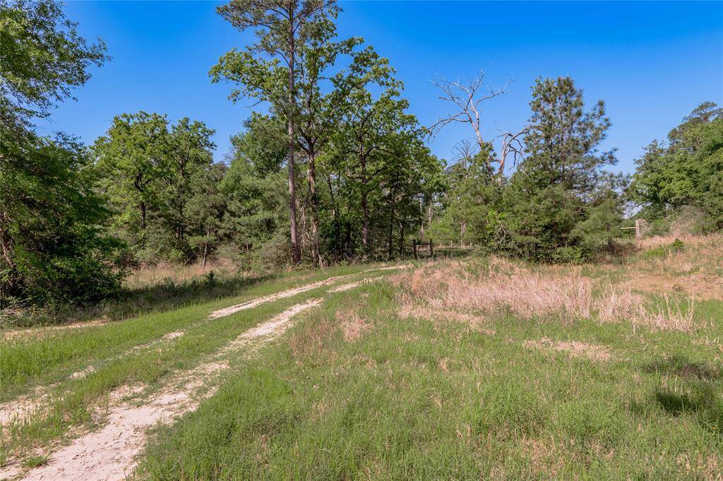 Cross fenced throughout the property