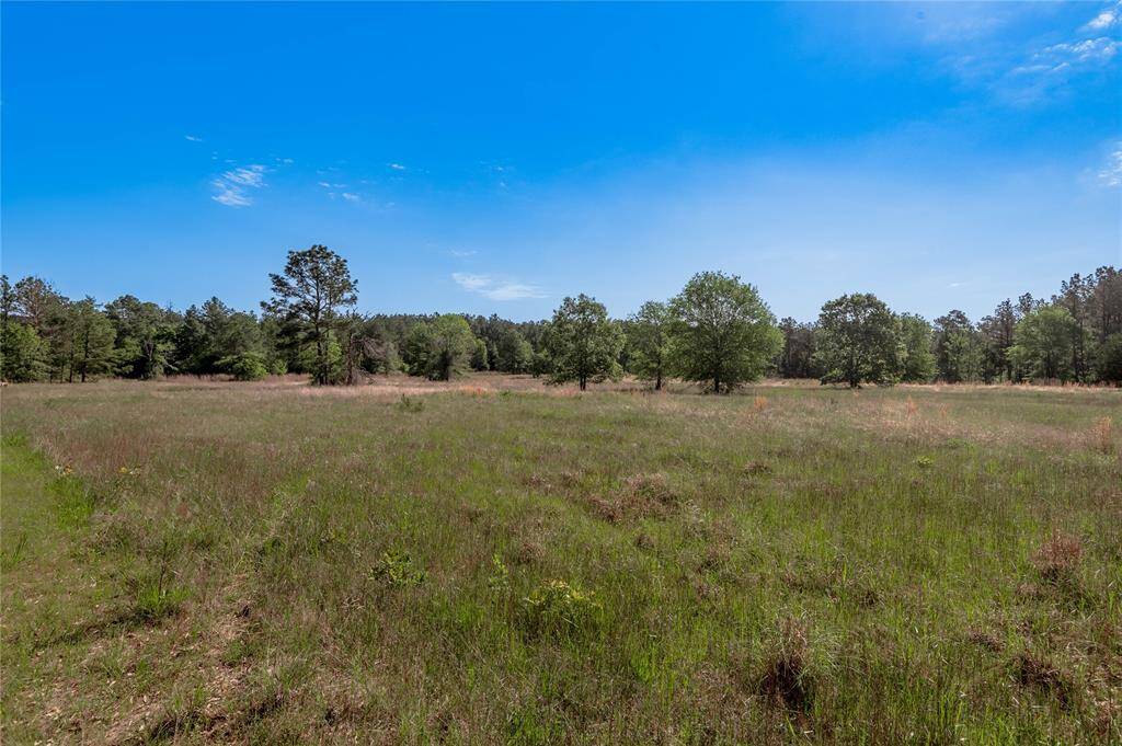 Homesites abound.