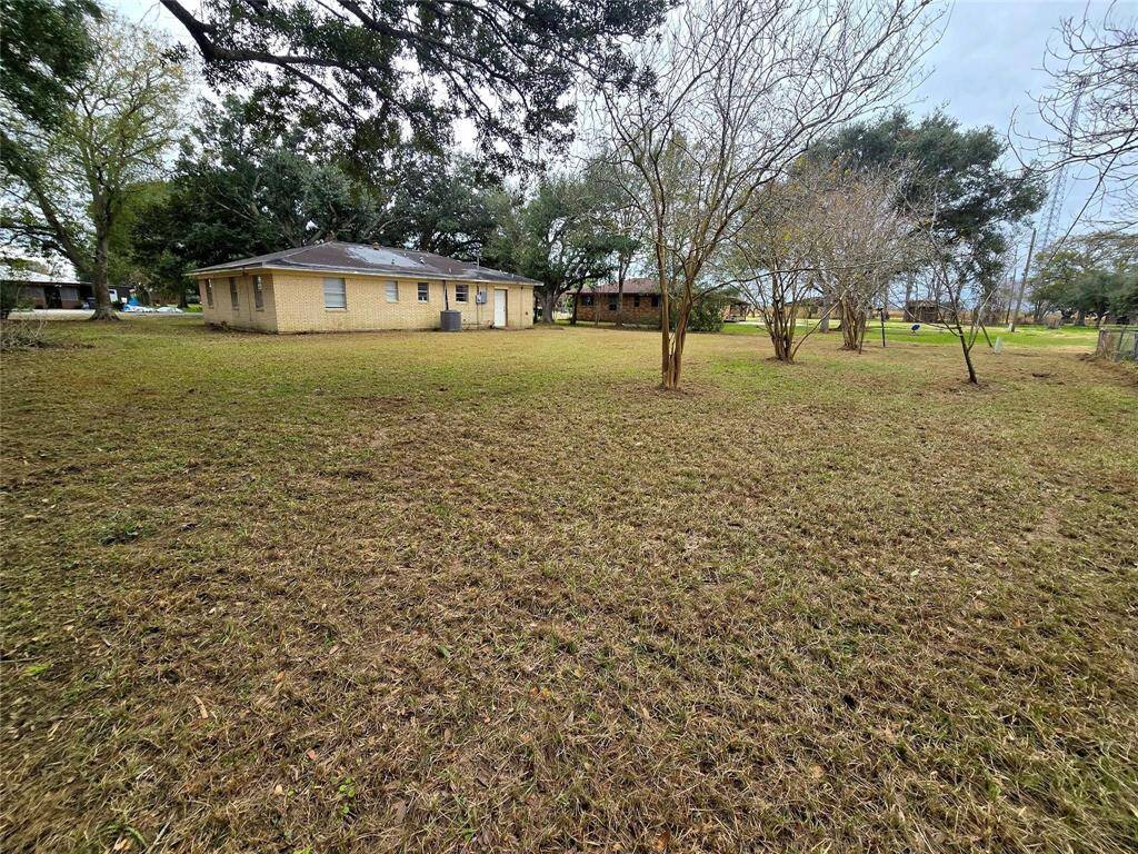Big backyard