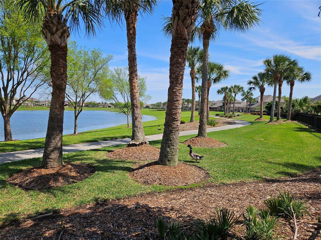 The lakes are the pride and joy of Mar Bella.