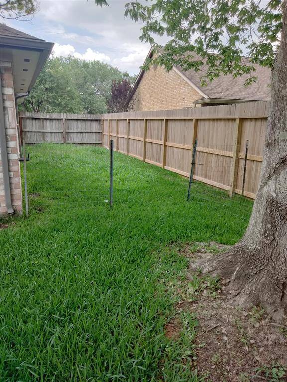 Backyard is large and has large trees.